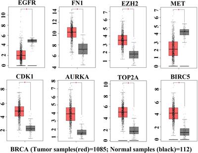 Bioinformatics and network-based screening and discovery of potential molecular targets and small molecular drugs for breast cancer